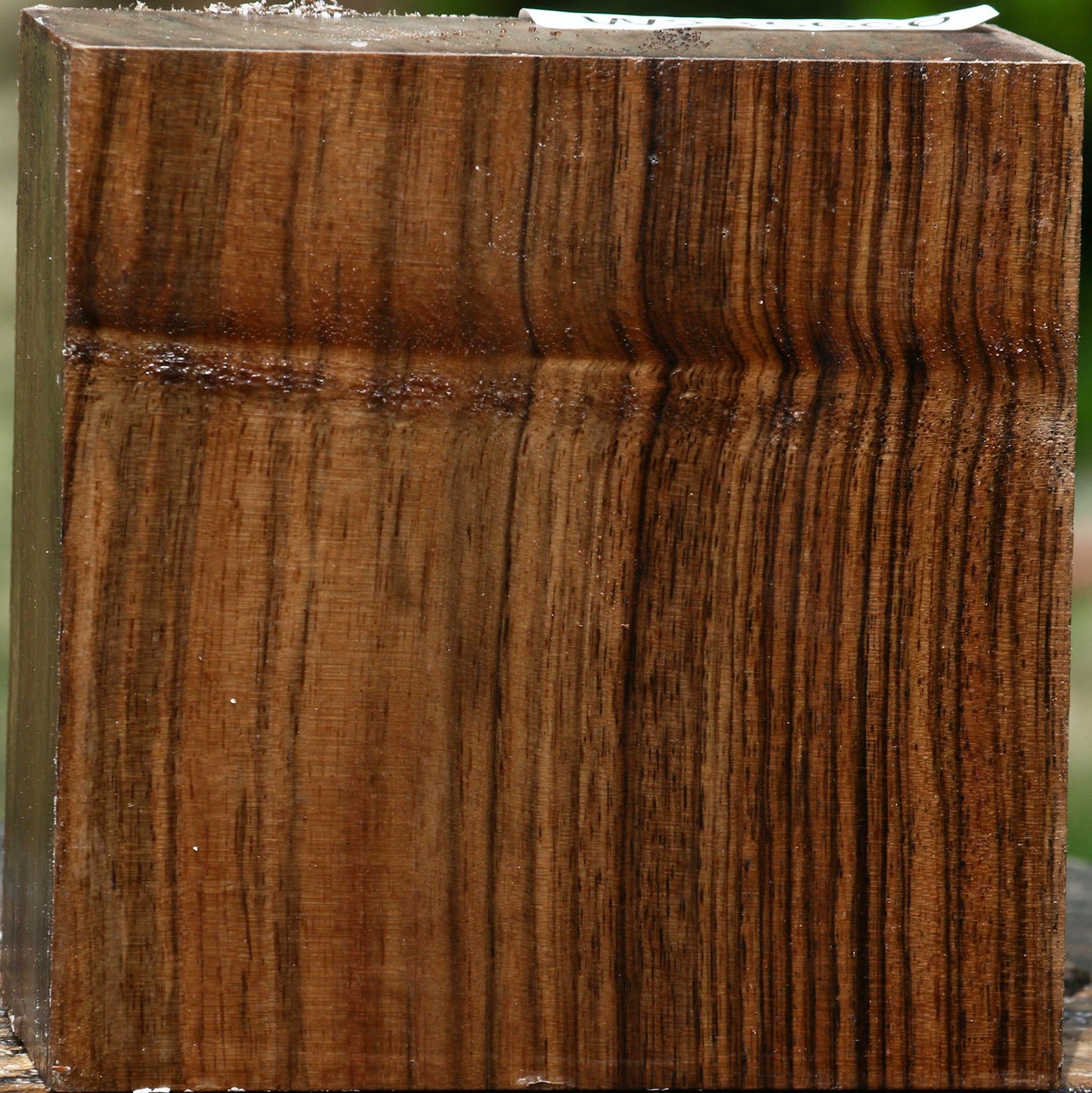 Extra Fancy English Walnut Bowl Blank