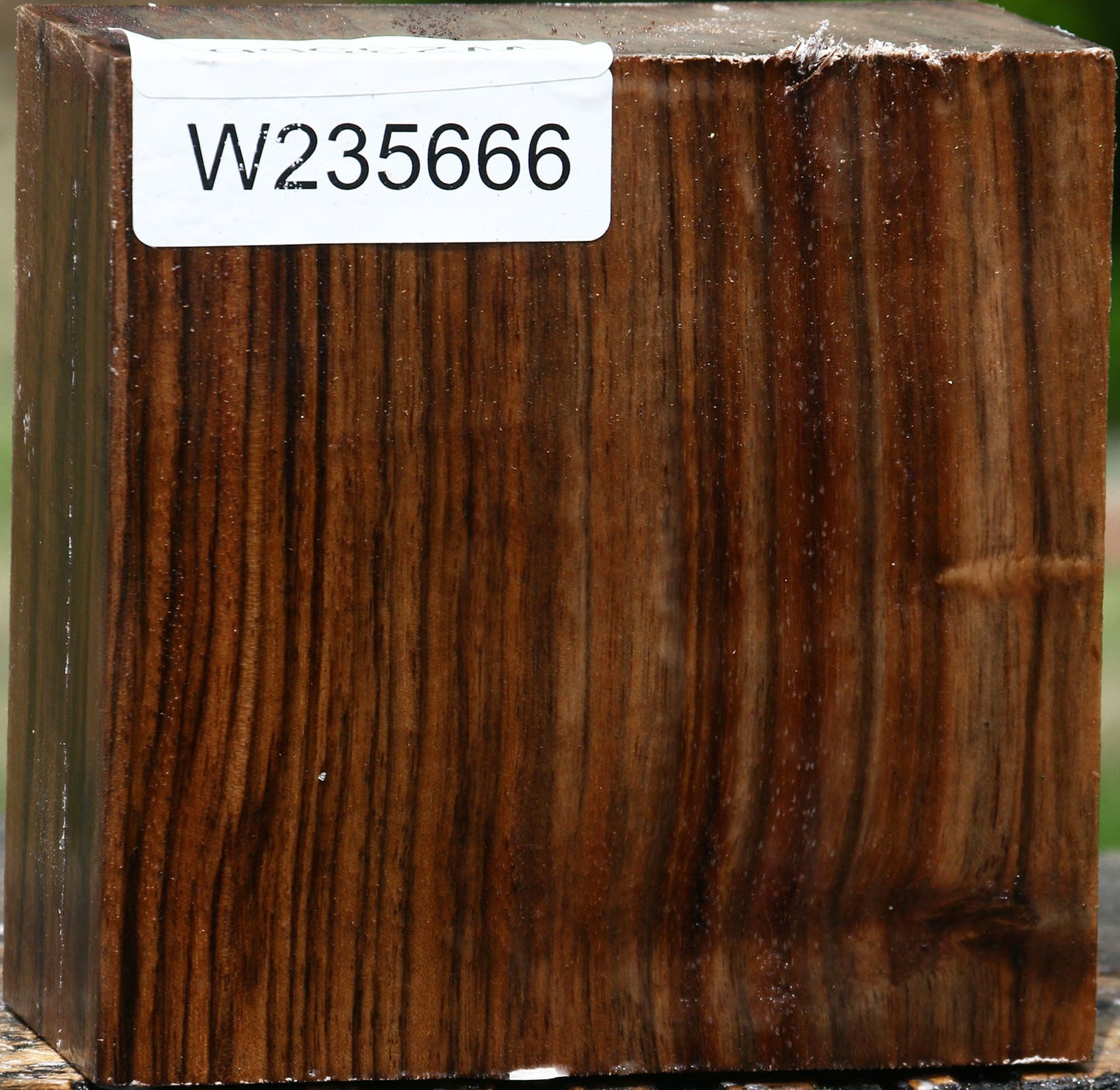 Extra Fancy English Walnut Bowl Blank