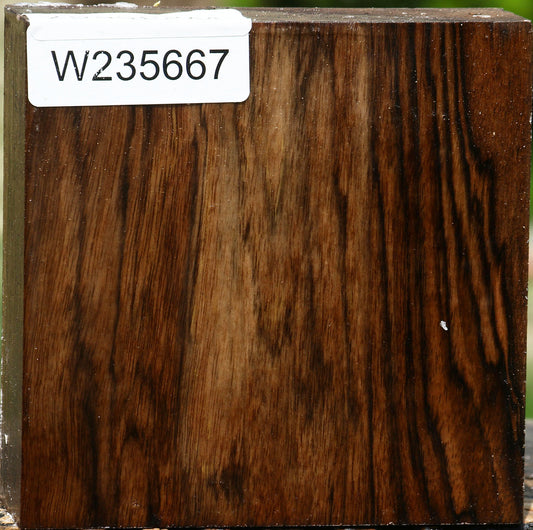 Figured English Walnut Bowl Blank