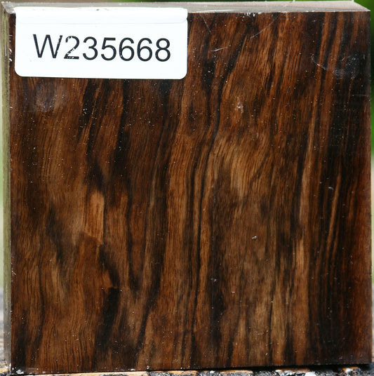 Figured English Walnut Bowl Blank