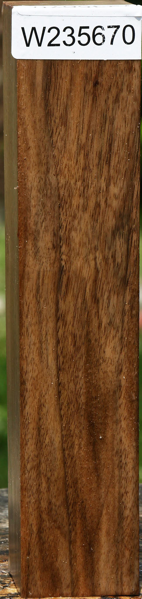 English Walnut Turning Square