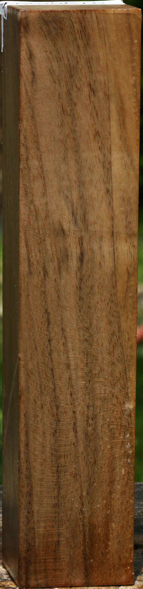 English Walnut Turning Square