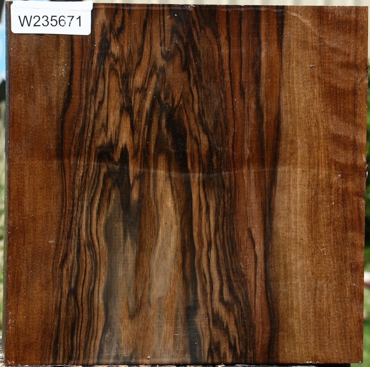 Extra Fancy English Walnut Bowl Blank