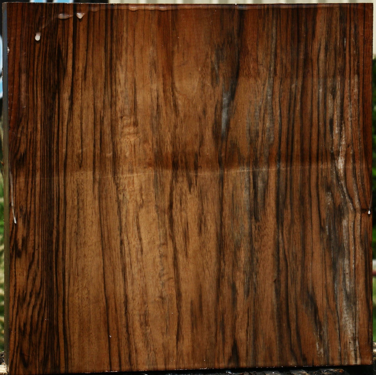 Extra Fancy English Walnut Bowl Blank