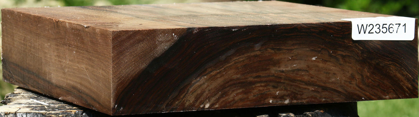 Extra Fancy English Walnut Bowl Blank