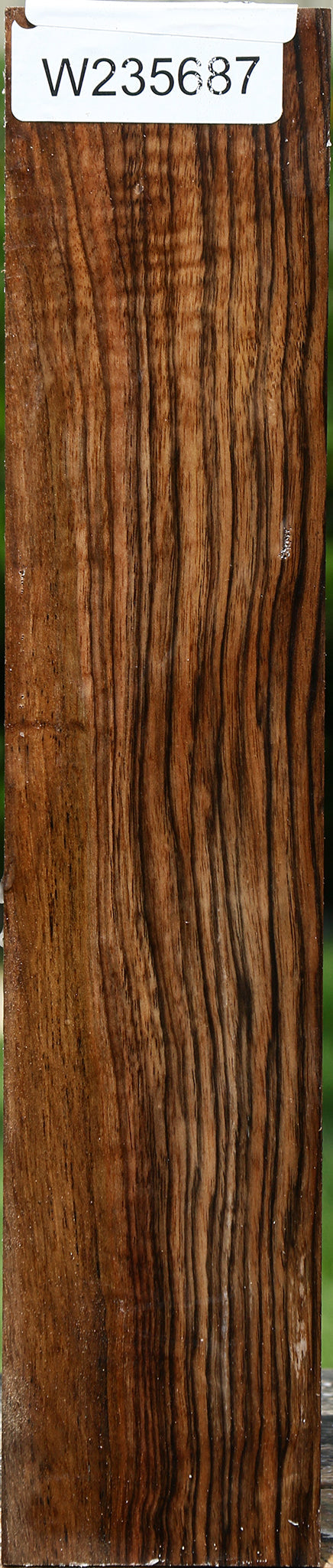 Extra Fancy English Walnut Forend