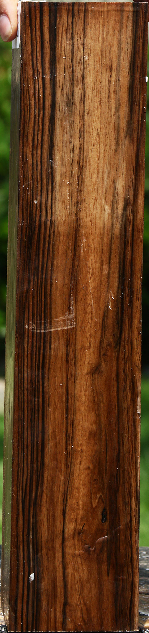 Extra Fancy English Walnut Forend