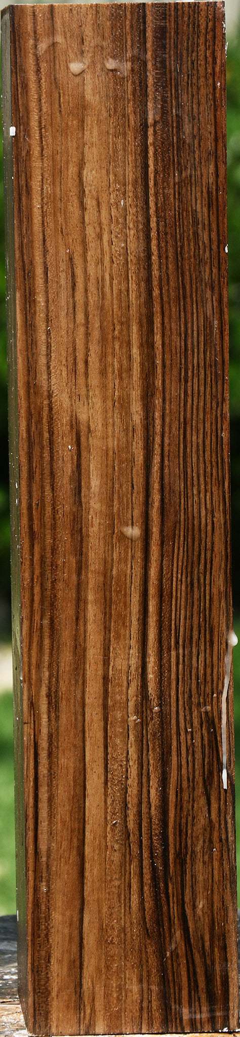 Extra Fancy English Walnut Forend