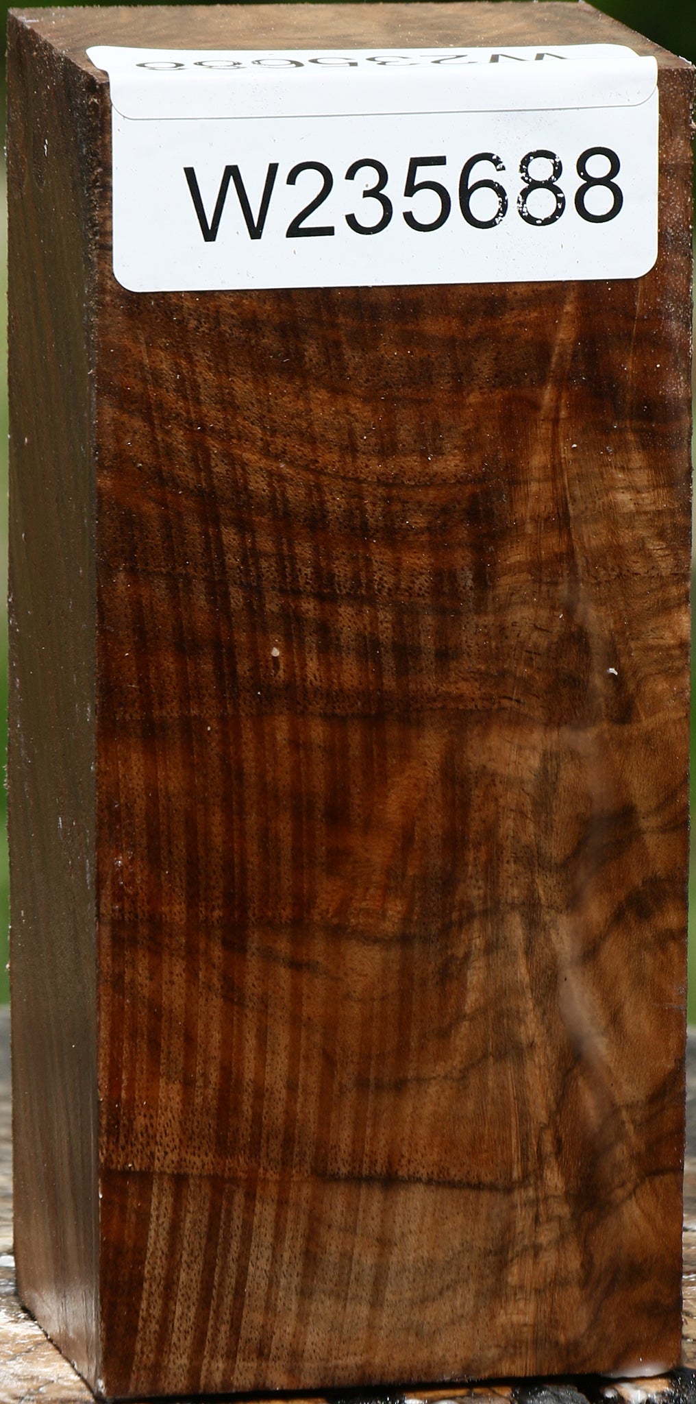 Extra Fancy English Walnut Turning Blank