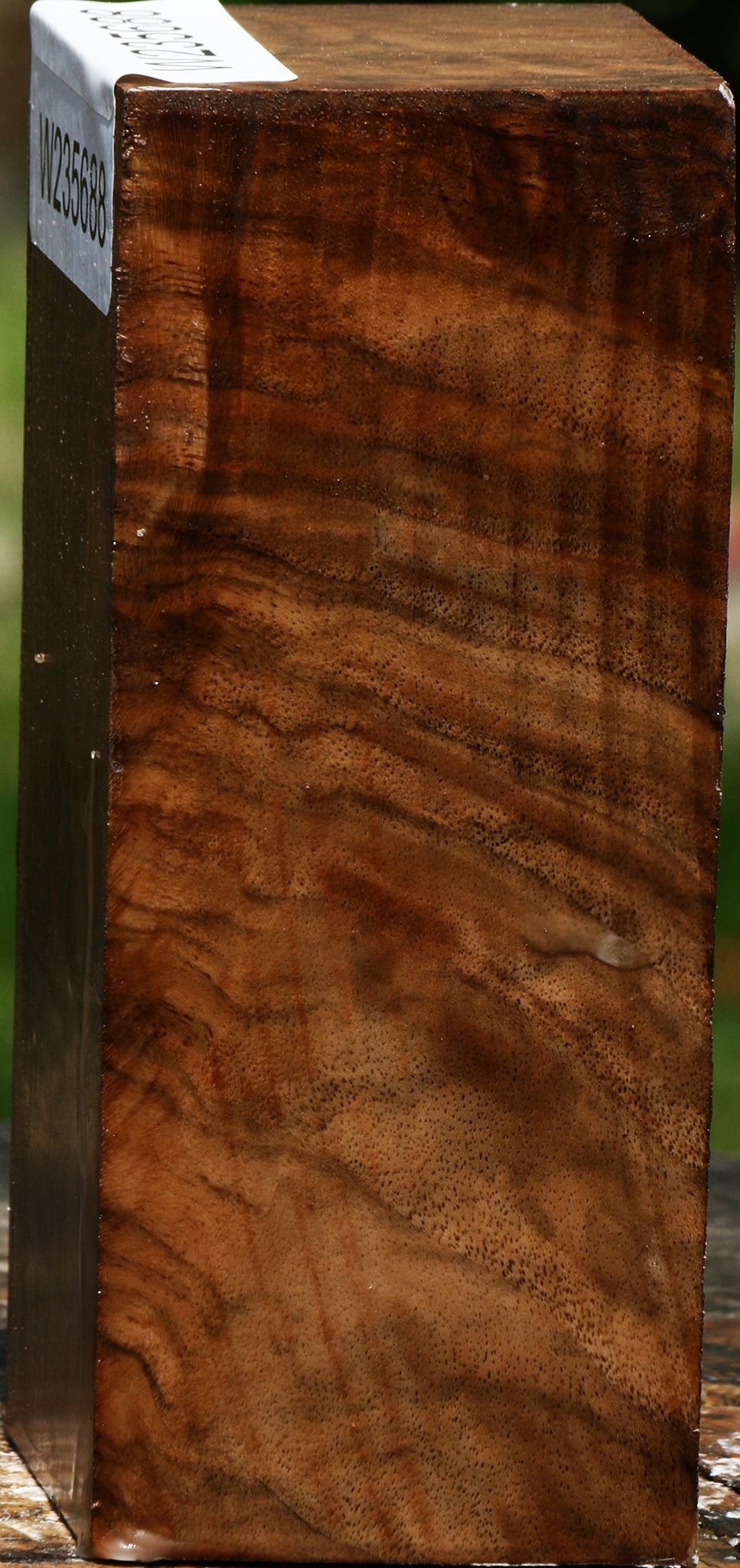 Extra Fancy English Walnut Turning Blank