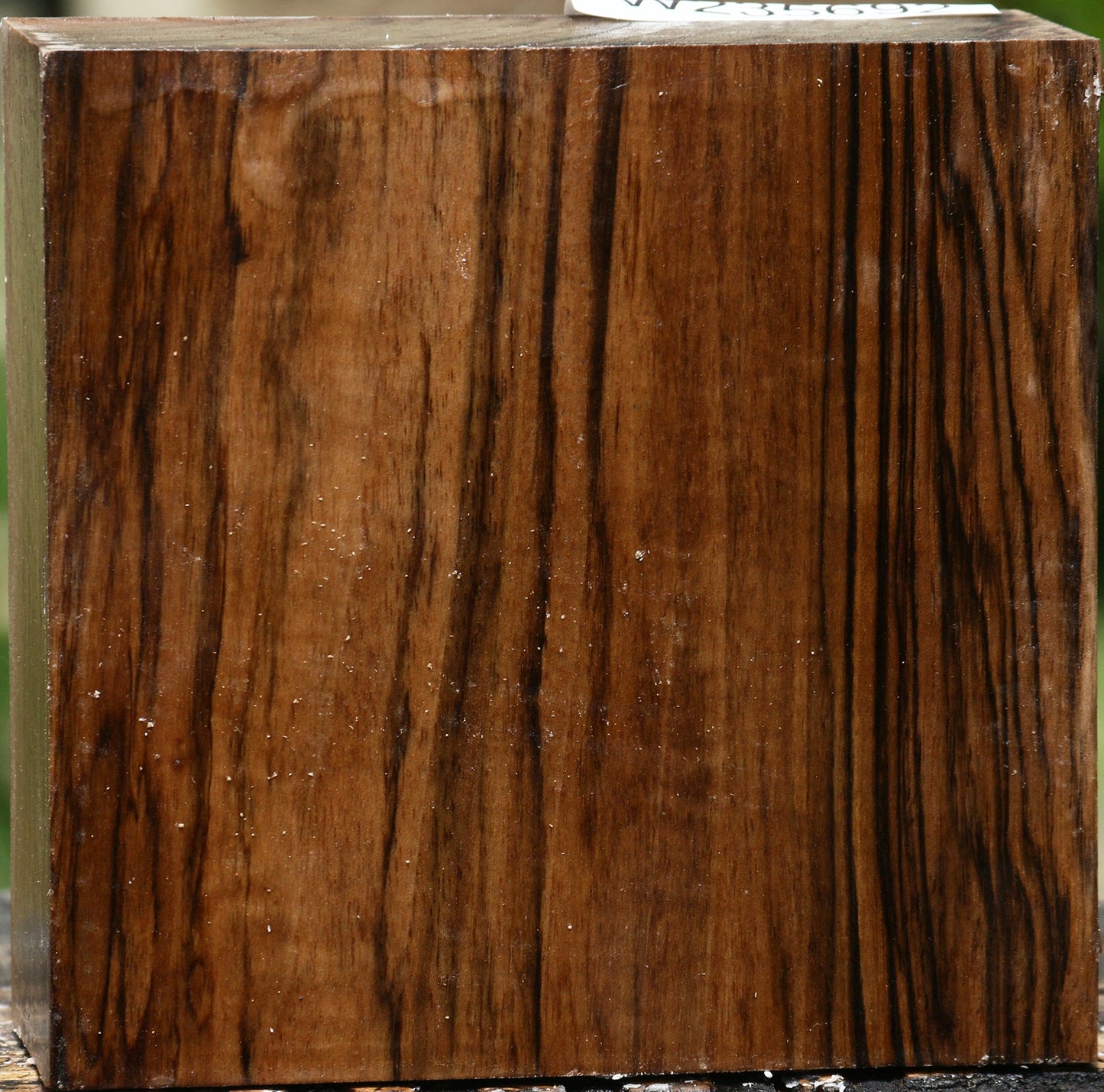 Figured English Walnut Bowl Blank