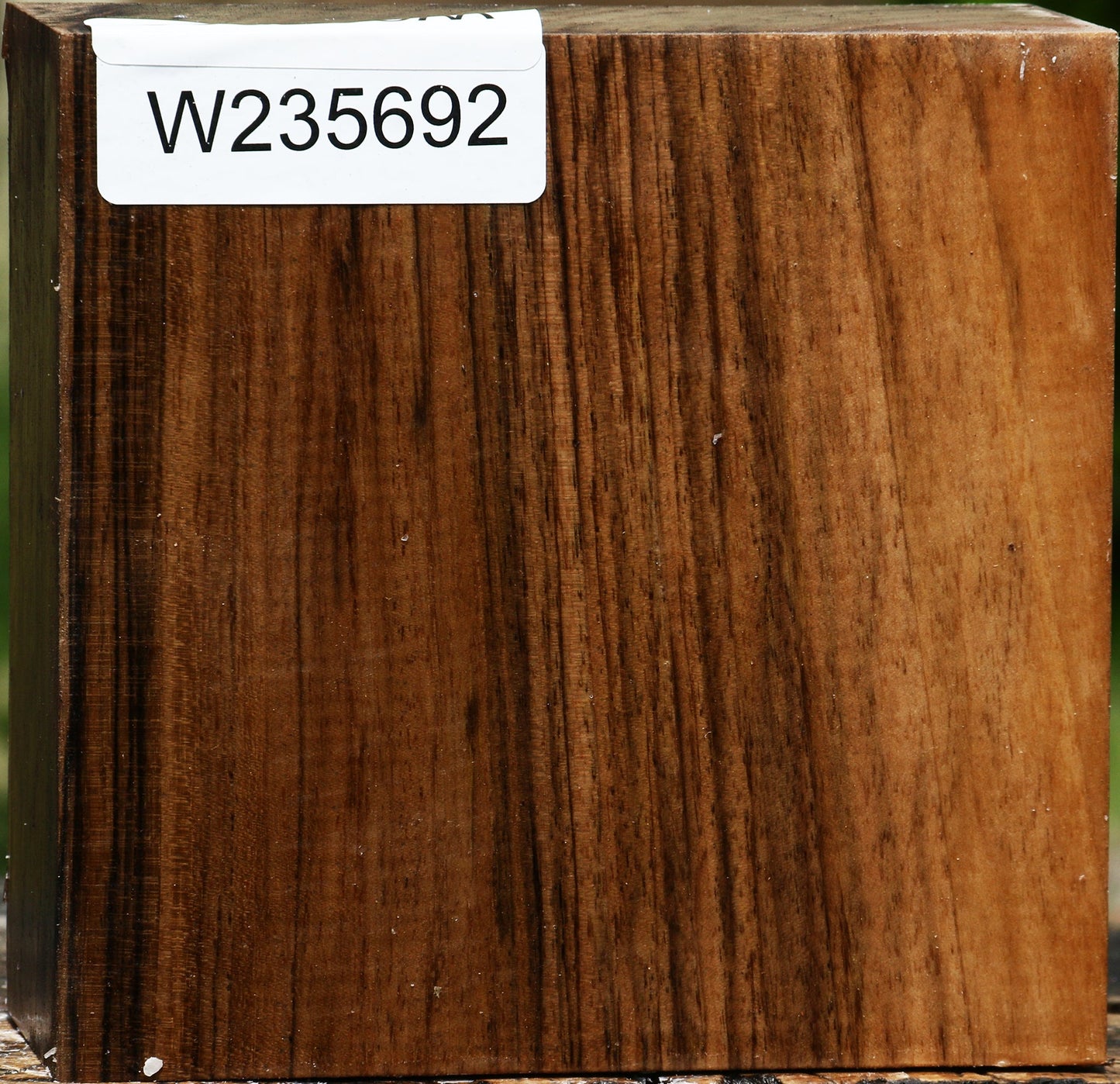 Figured English Walnut Bowl Blank