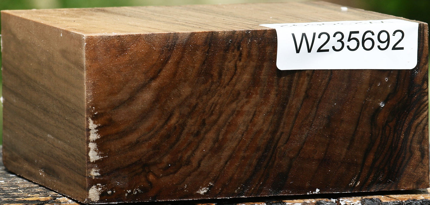 Figured English Walnut Bowl Blank