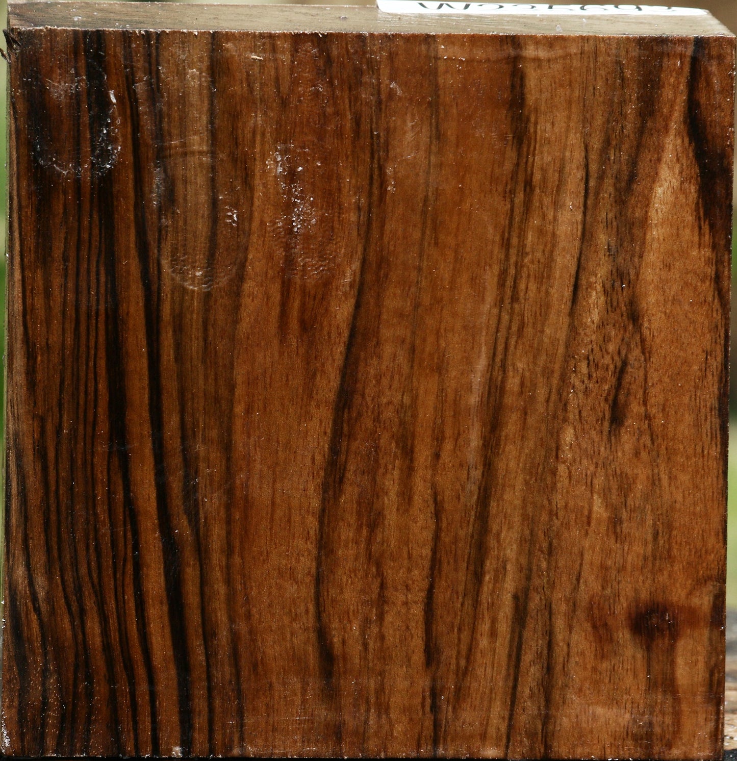 Extra Fancy English Walnut Bowl Blank