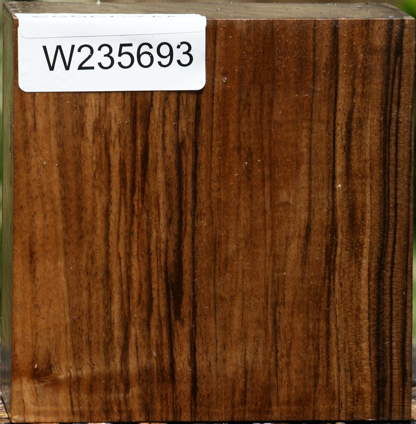 Extra Fancy English Walnut Bowl Blank