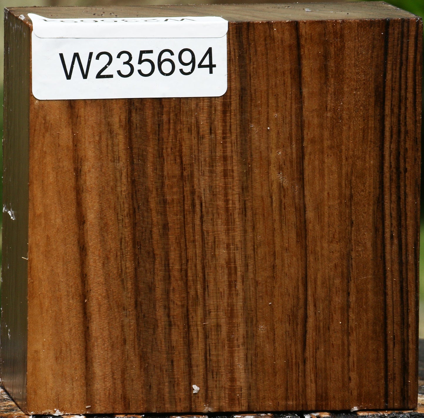 Figured English Walnut Bowl Blank