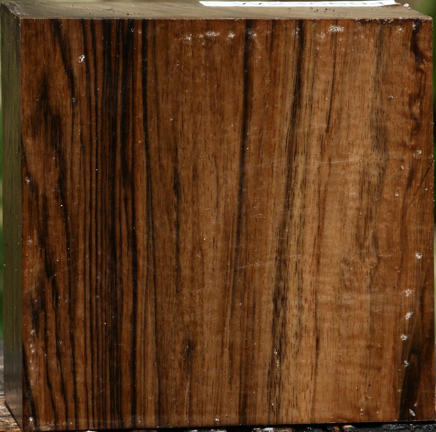 Figured English Walnut Bowl Blank