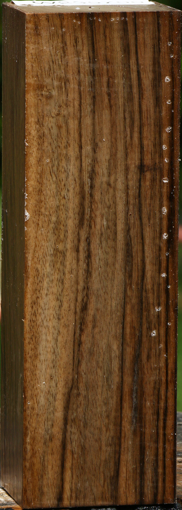 English Walnut Turning Blank