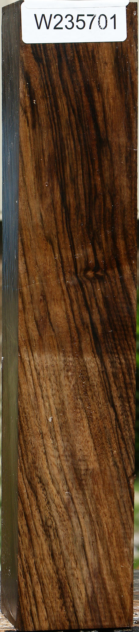 Extra Fancy English Walnut Forend