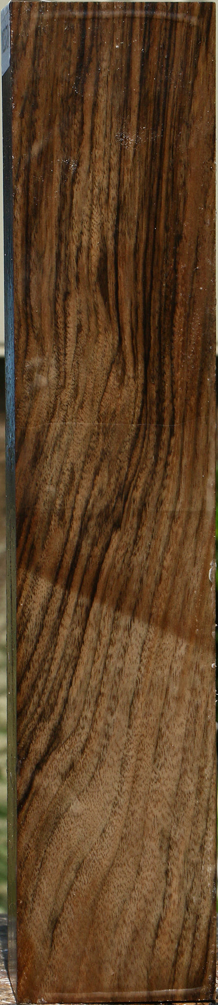 Extra Fancy English Walnut Forend