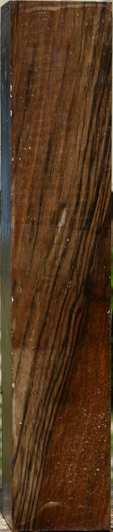 Extra Fancy English Walnut Forend