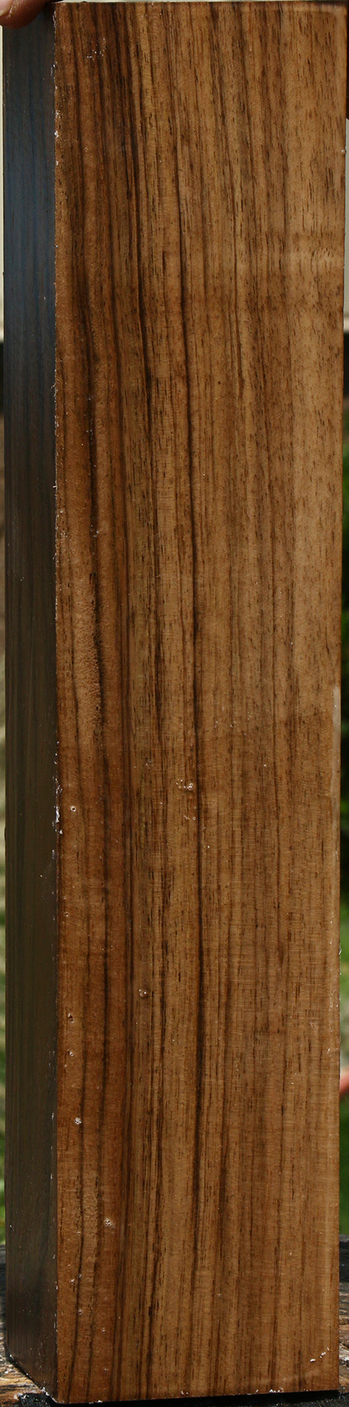 Extra Fancy English Walnut Forend