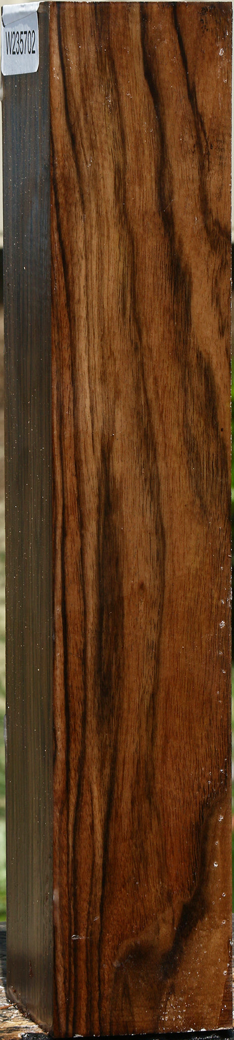 Extra Fancy English Walnut Forend