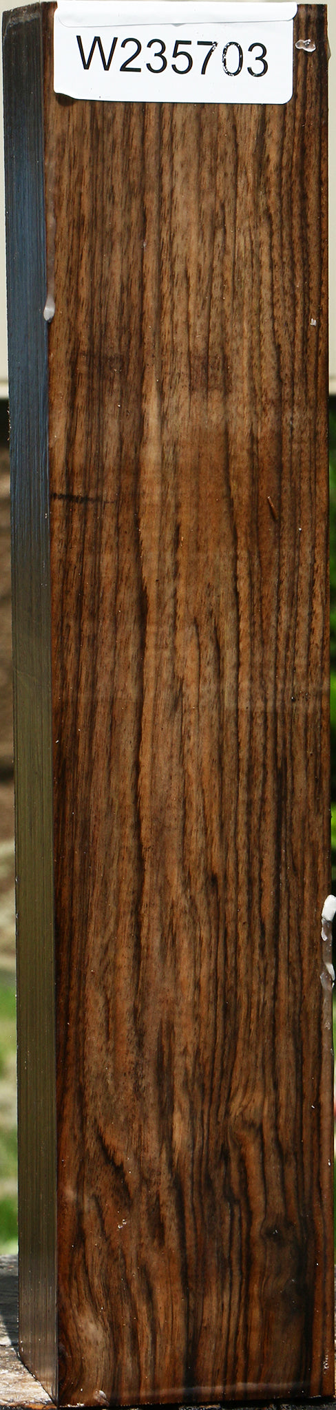 English Walnut Forend