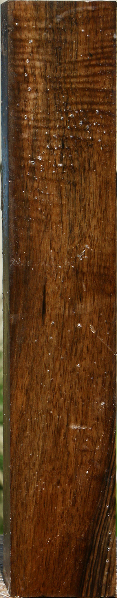 Figured English Walnut Forend