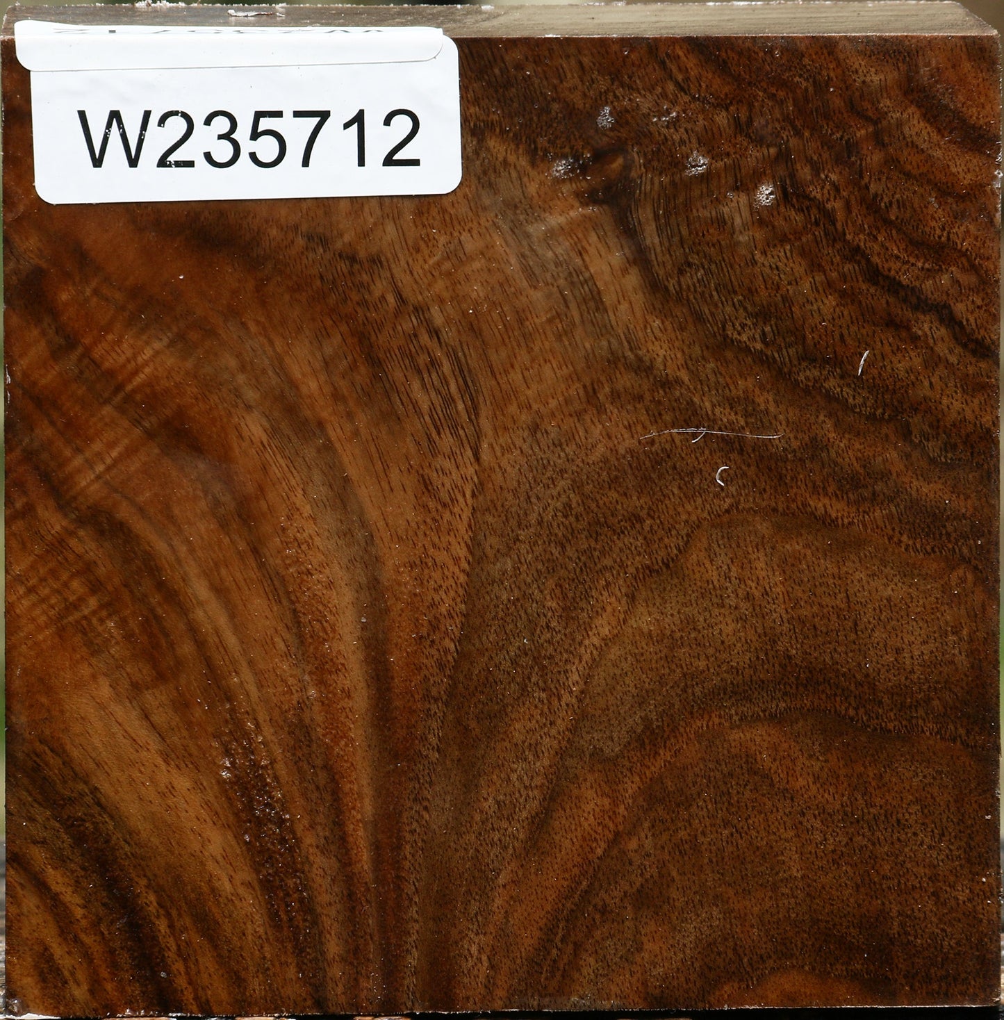 Figured English Walnut Bowl Blank