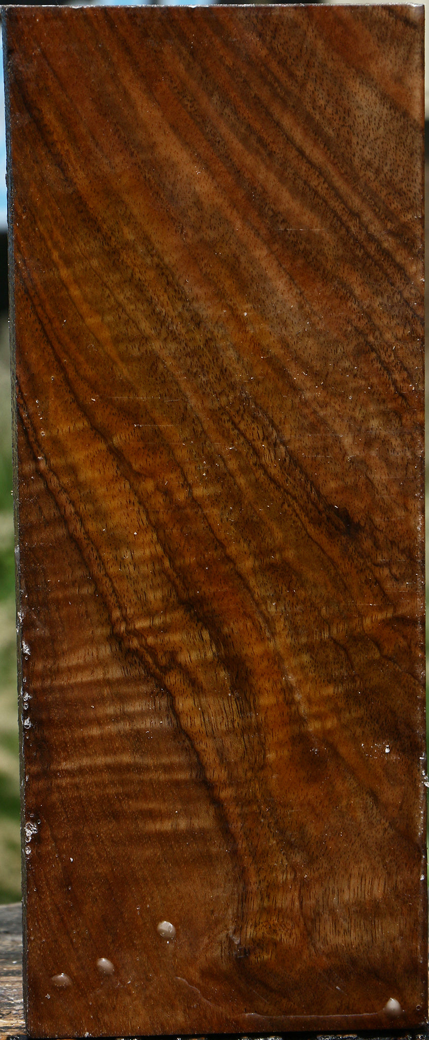 Extra Fancy English Walnut Turning Blank