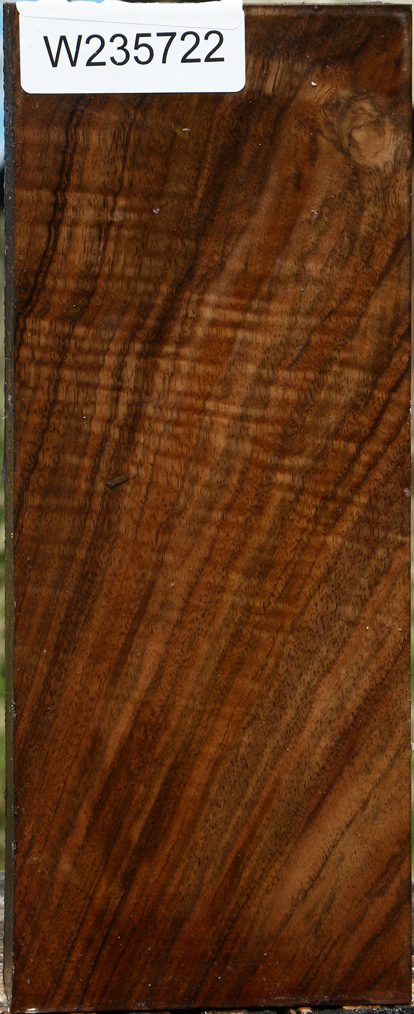 Extra Fancy English Walnut Turning Blank