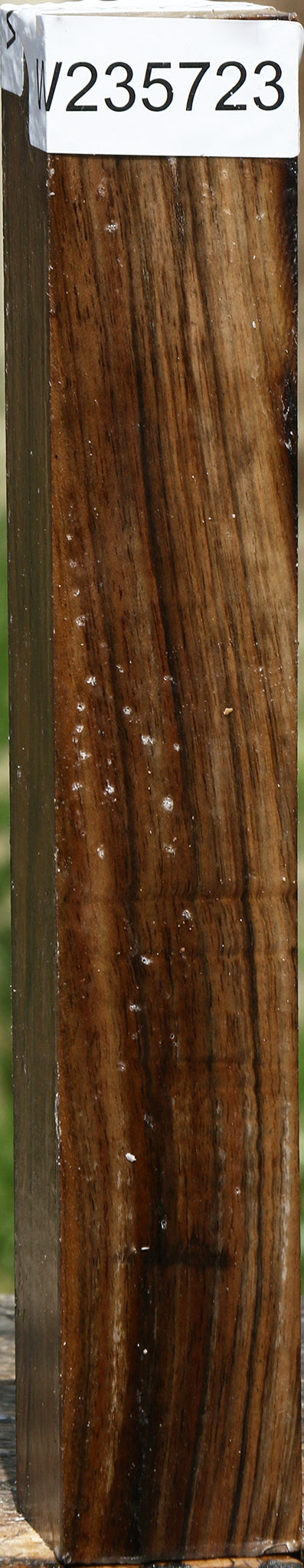 Figured English Walnut Turning Square