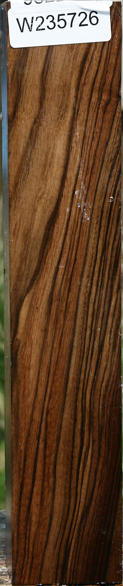 English Walnut Forend