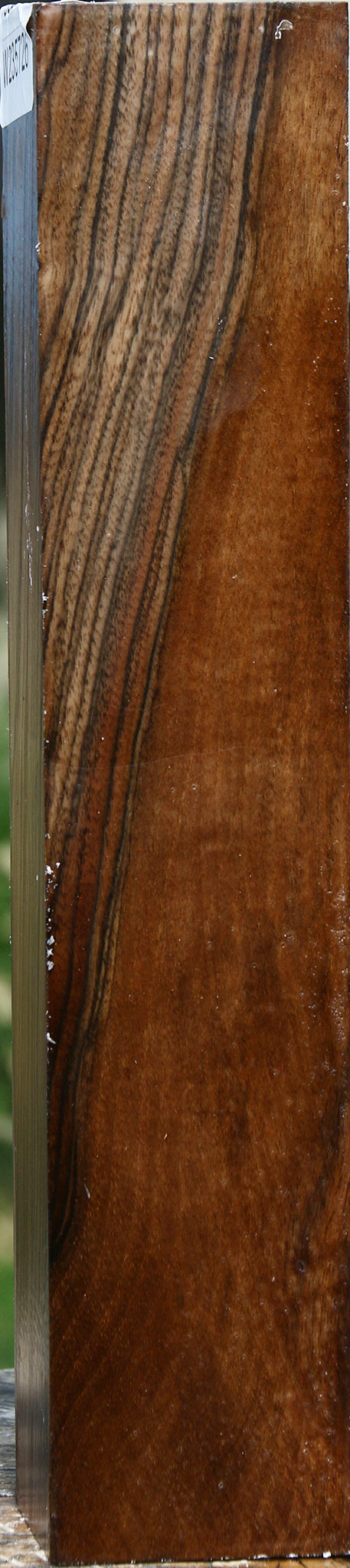 English Walnut Forend