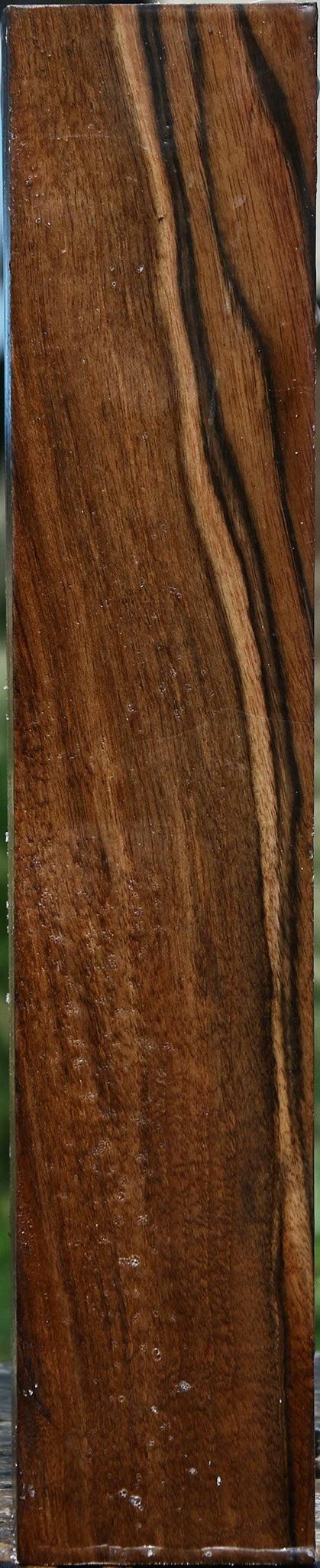 English Walnut Forend