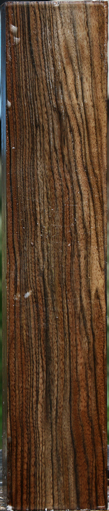 English Walnut Forend