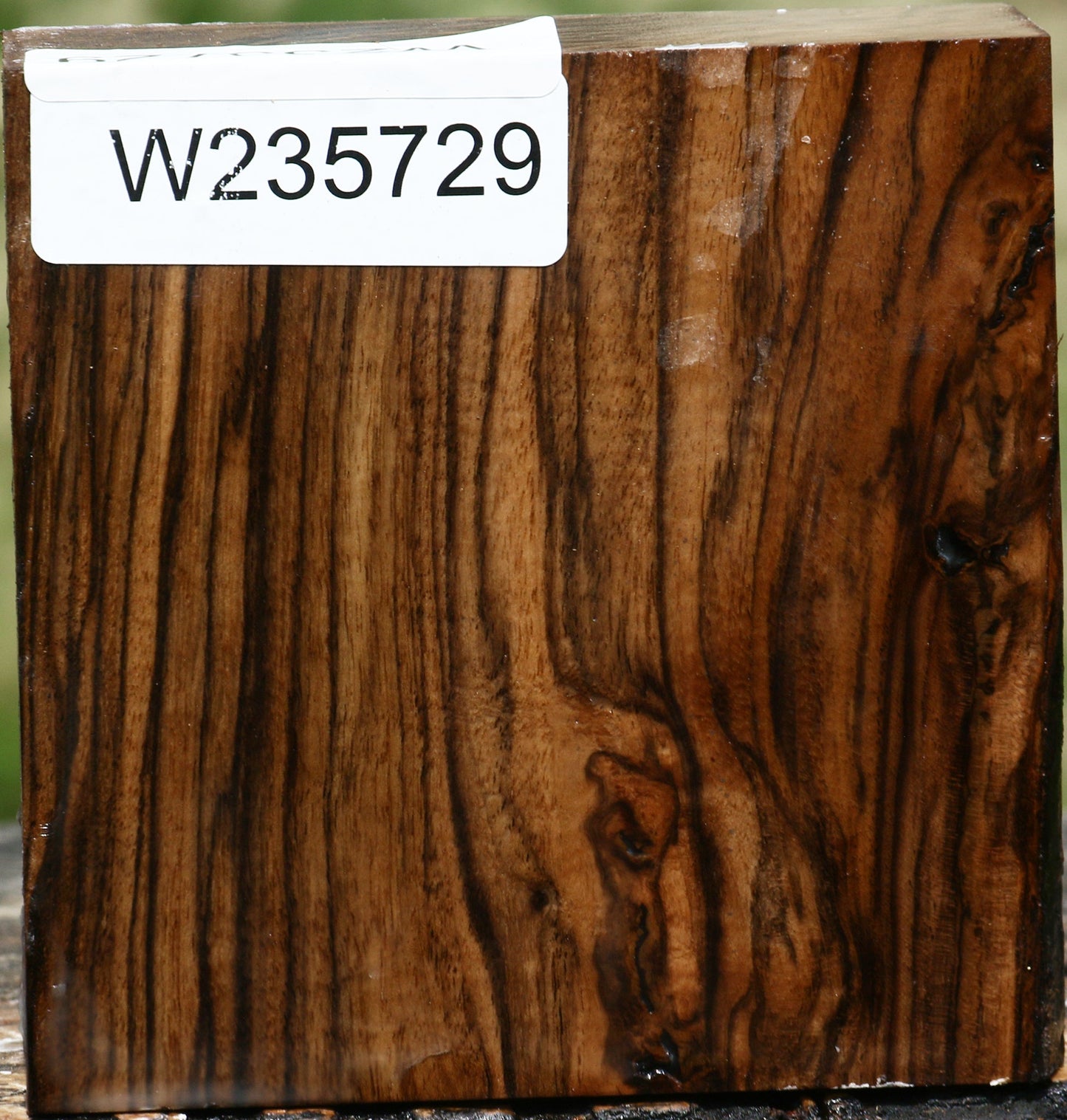 Extra Fancy English Walnut Bowl Blank