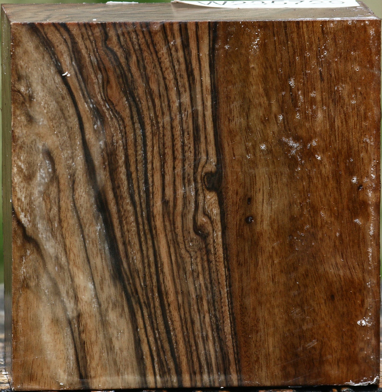 Extra Fancy English Walnut Bowl Blank