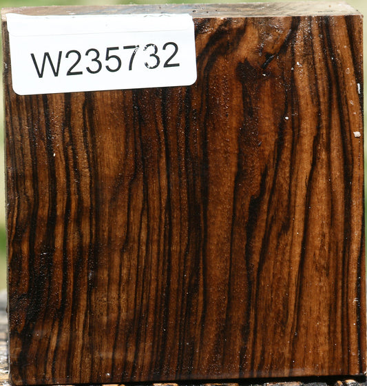 Exhibition English Walnut Bowl Blank