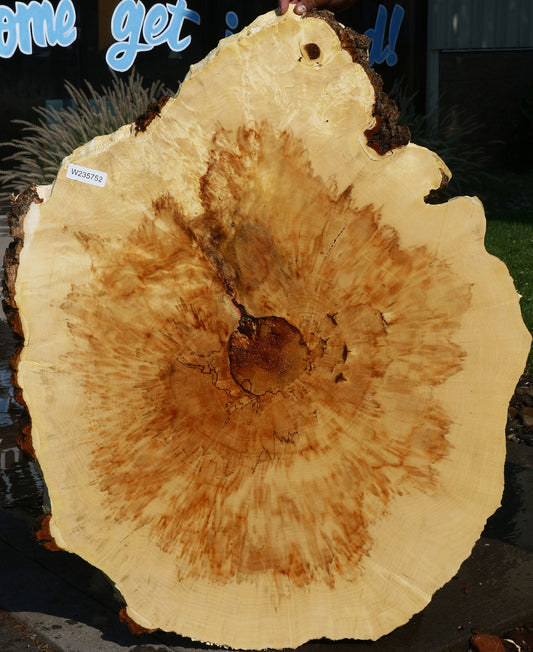 Box Elder Cookie (Free Shipping Excluded)