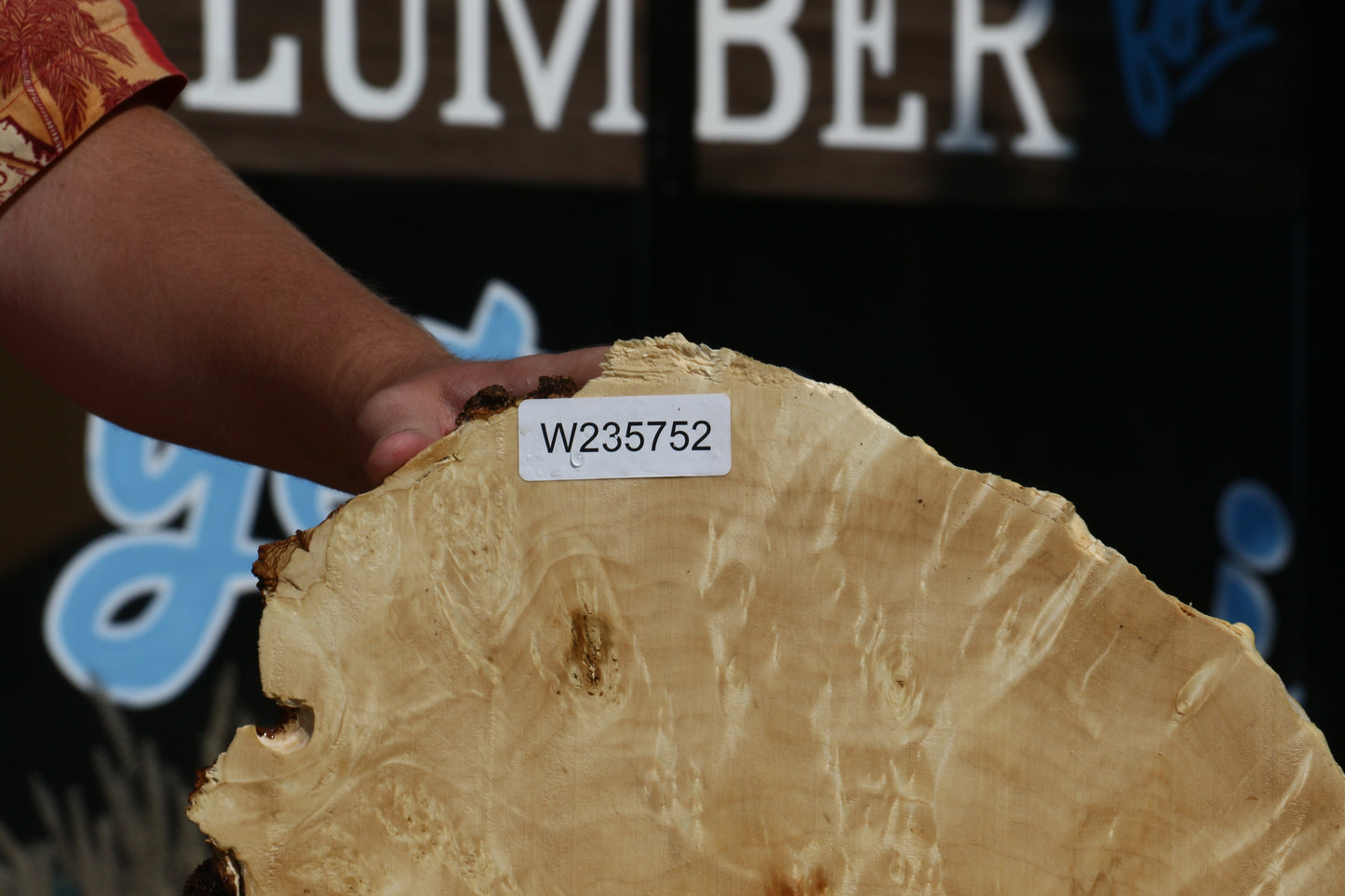 Box Elder Cookie (Free Shipping Excluded)