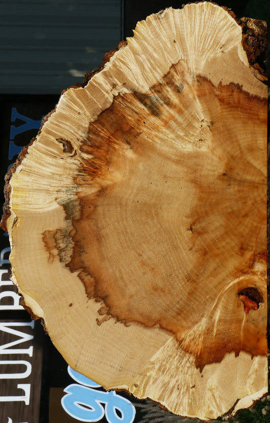 Box Elder Slice