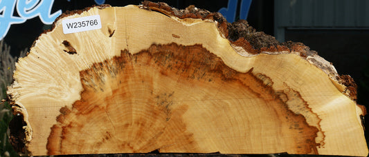 Extra Fancy Box Elder Slice