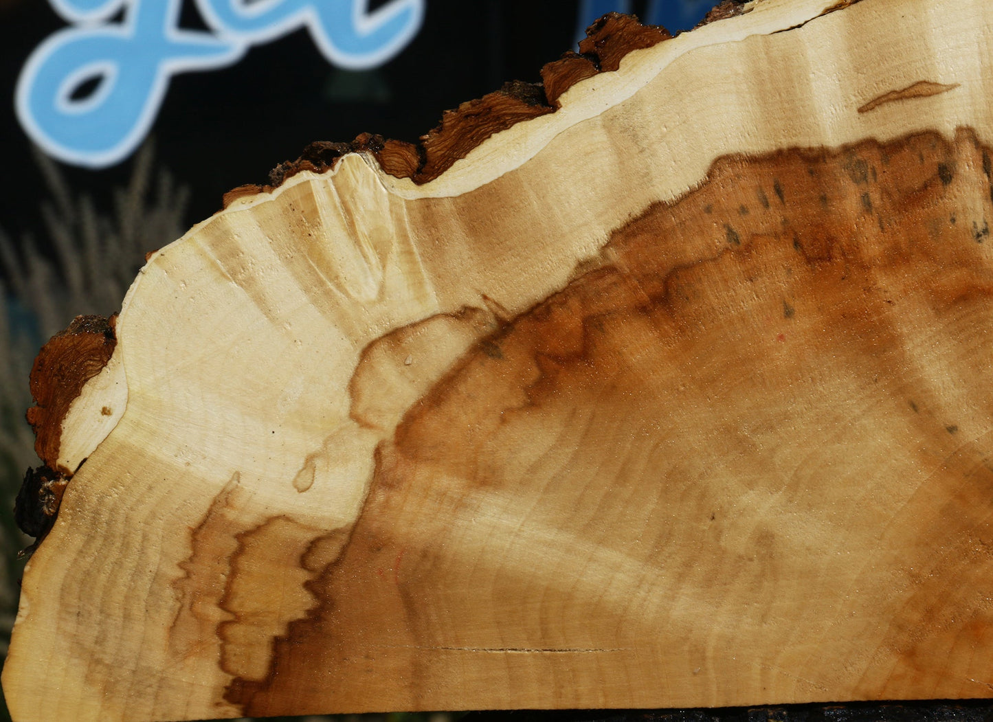 Extra Fancy Box Elder Slice