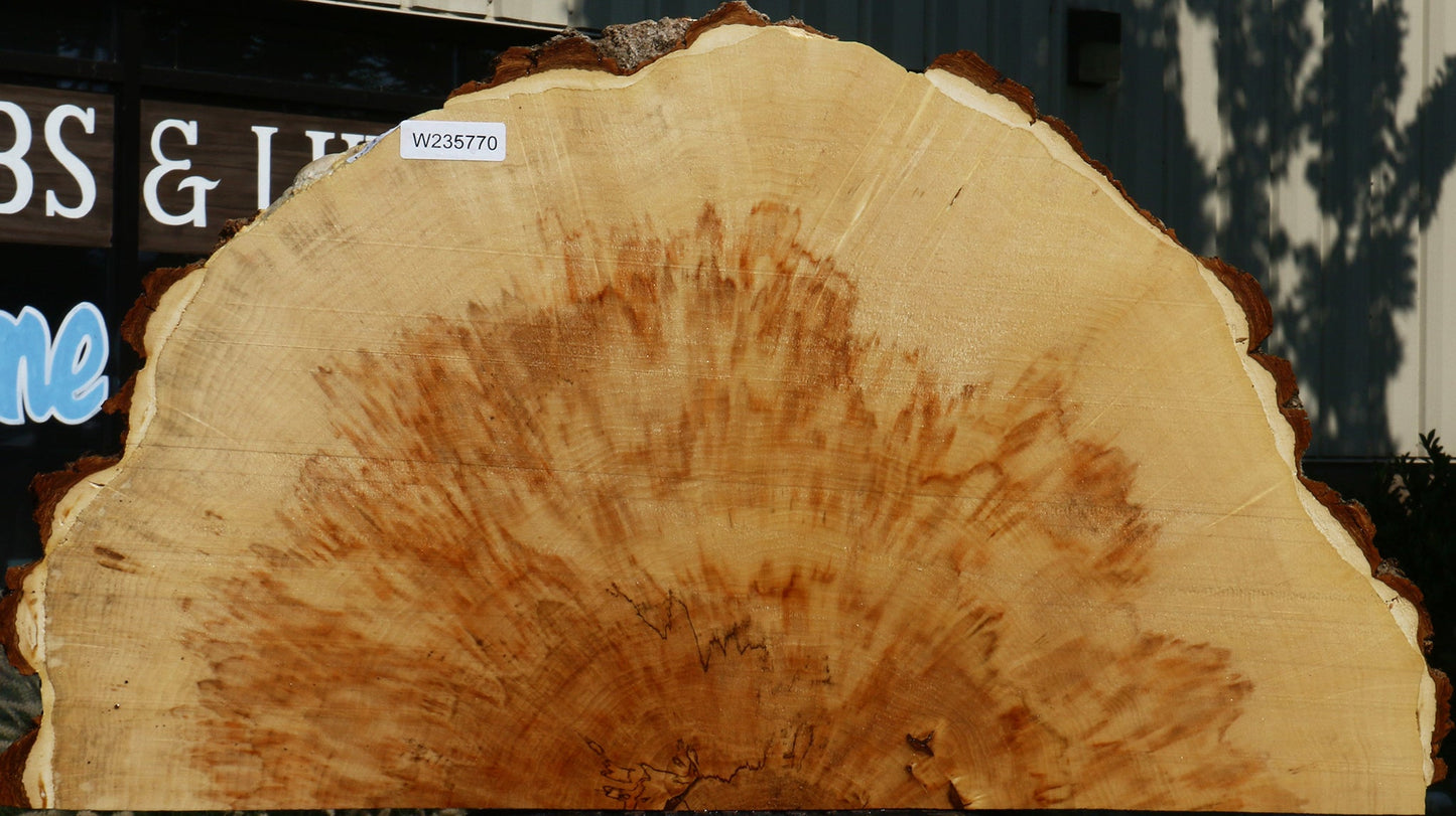 Extra Fancy Box Elder Slice