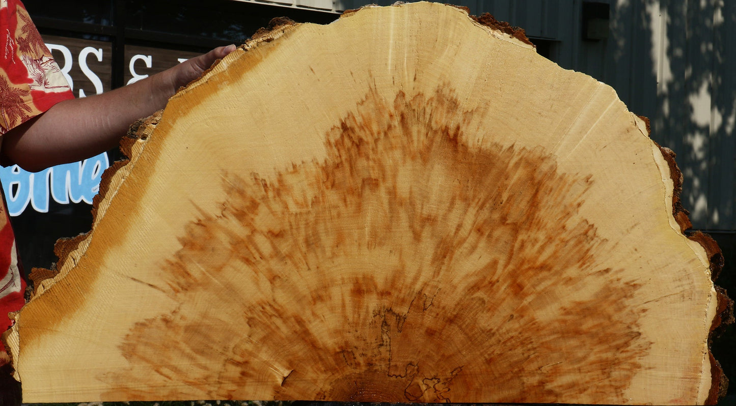 Extra Fancy Box Elder Slice