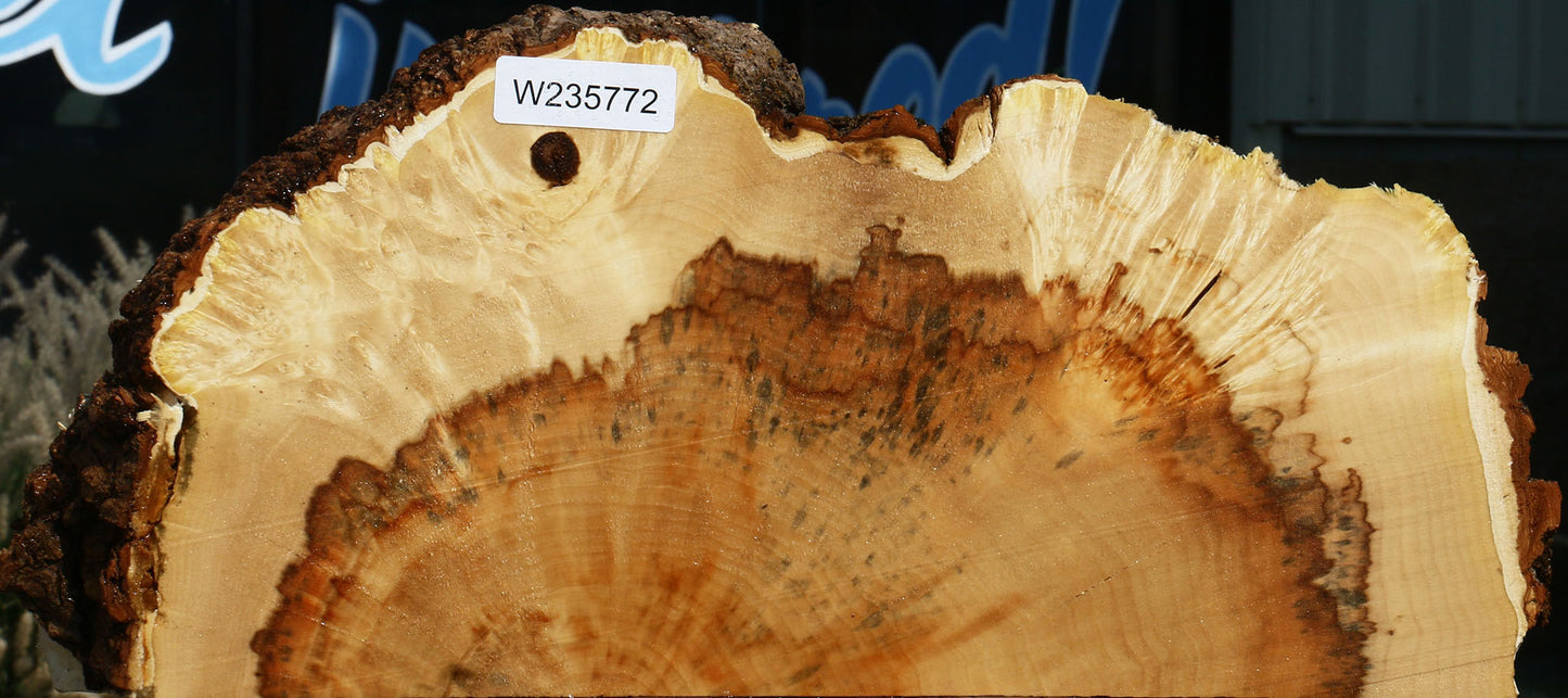 Extra Fancy Box Elder Slice