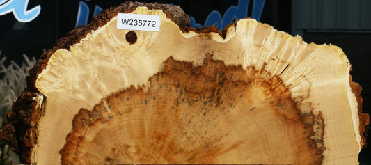 Extra Fancy Box Elder Slice