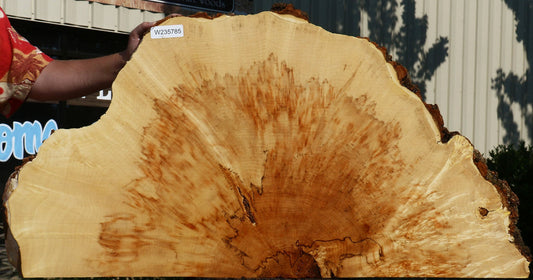 Box Elder Burl Cookie